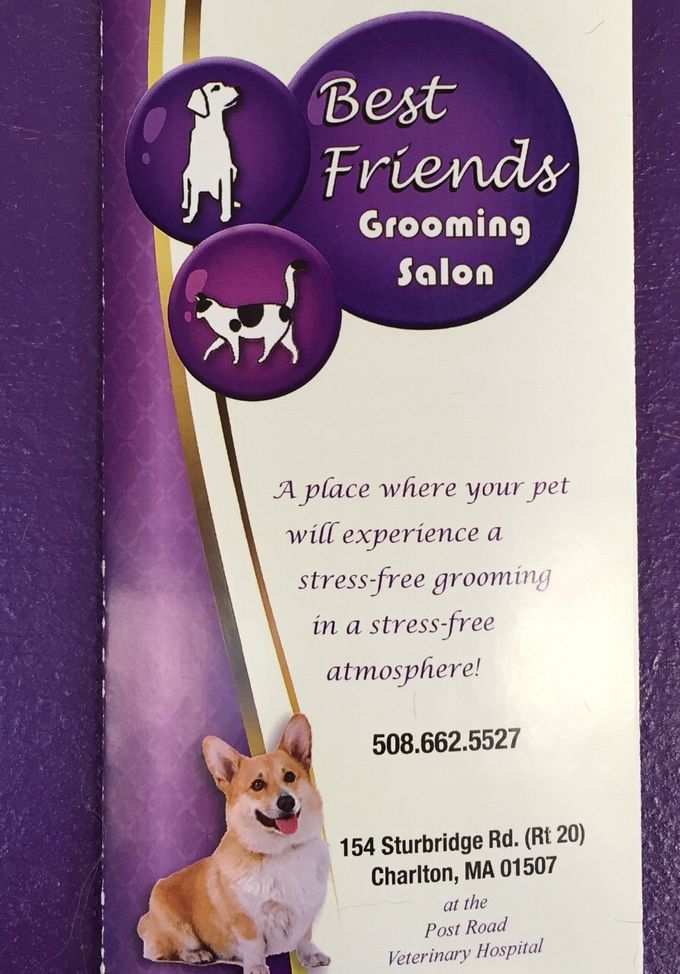 Best Friends Grooming Salon -  A place where your pet will experience a stress-free grooming in a stress-free atmosphere!